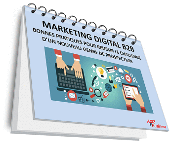 guide de marketing digital b2b 