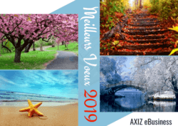Meilleurs-Voeux-2019-axiz-ebusiness Meilleurs-Voeux-2019-axiz-ebusiness